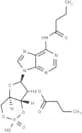 Bucladesine