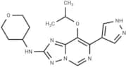 CDK2-IN-40