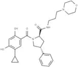 Hsp90-IN-38