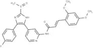 Casein kinase 1δ-IN-29