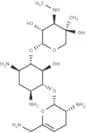 Sisomicin