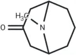 Pseudopelletierine free base