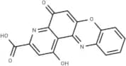 Pirenoxine
