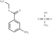 Tricaine methanesulfonate