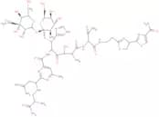 Phleomycin