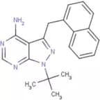 1-NM-PP1