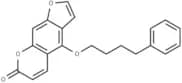 Psora 4