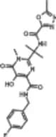 Raltegravir
