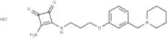 BMY 25368 HCl