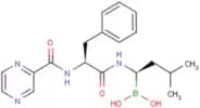 Bortezomib