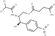 Chloramphenicol succinate