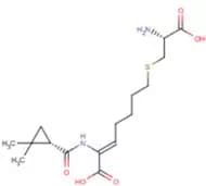 Cilastatin