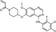 Poziotinib