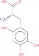 6-Hydroxy-DOPA