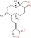 Dehydroandrographolide