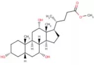 Methyl Cholate