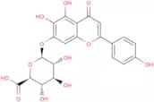 Scutellarin
