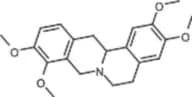 Tetrahydropalmatine