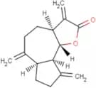 Dehydrocostus Lactone