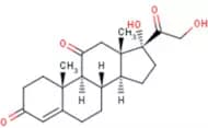 Cortisone