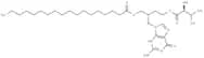 Valomaciclovir stearate
