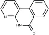 XU1
