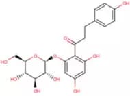 Phlorizin