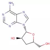 Cordycepin