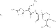 Cefetamet sodium