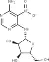 Clitocine