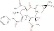 Euphorbiasteroid