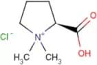 Stachydrine Hydrochloride
