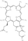 Talaporfin free acid