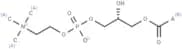 Lysophosphatidylcholines