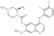 Zorifertinib