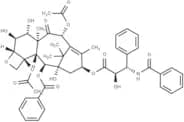 6α-hydroxy Paclitaxel