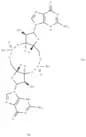 Cyclic-di-GMP disodium