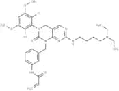 FIIN-1