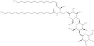 C17 Globotriaosylceramide (d18:1/17:0)