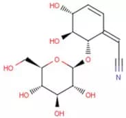 Lithospermoside