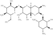 Apramycin (Nebramycin II)