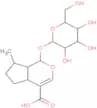 8-Epideoxyloganic acid