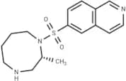 Cotosudil