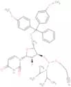 DMT-2′Fluoro-dU Phosphoramidite