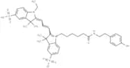 Cyanine 3 Tyramide