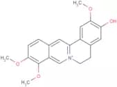 Jatrorrhizine