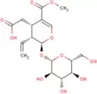 Secoxyloganin