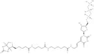 Biotin-16-dUTP
