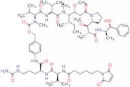 VCMMAE