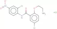 HJC0152 hydrochloride